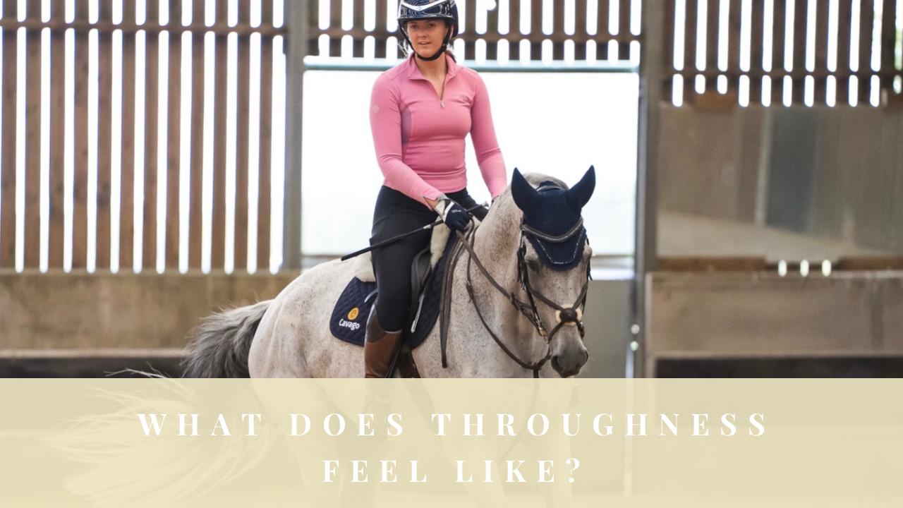 Rider schooling a grey horse in an indoor arena with the question ‘What does throughness feel like?’