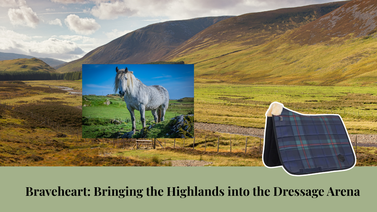 Scottish Highland landscape with a grey Highland horse and a green tartan Horzehoods saddle pad, featuring the title “Braveheart: Bringing the Highlands into the Dressage Arena.”