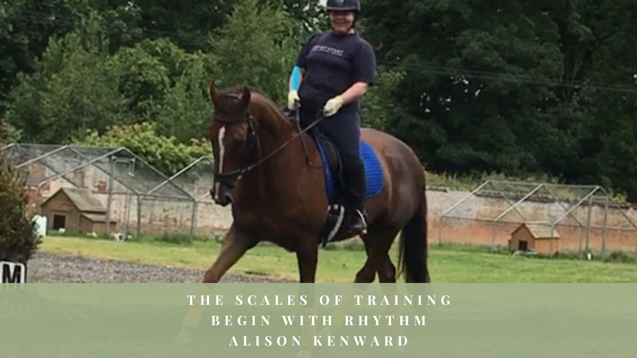 Alison Kenward schooling a horse in an outdoor arena for a lesson on rhythm and the Scales of Training.
