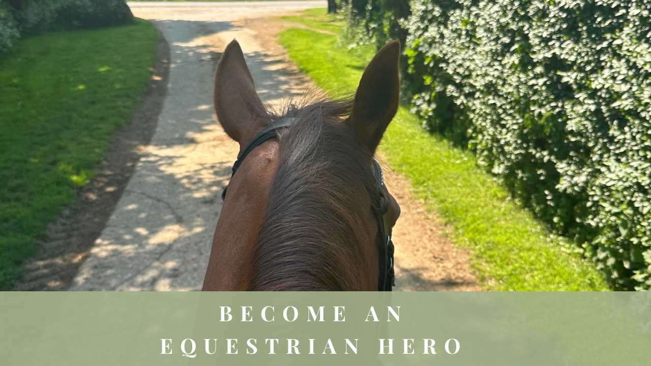 View between a horse’s ears while riding along a country track.