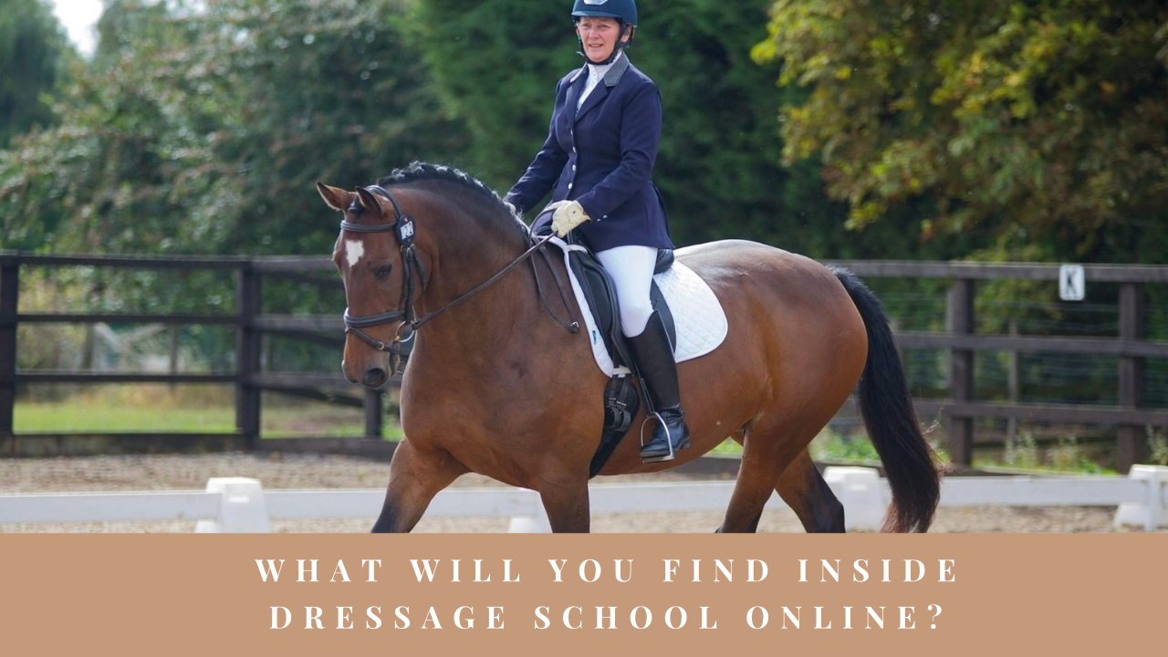 Dressage rider and horse in an outdoor arena for Dressage School Online.