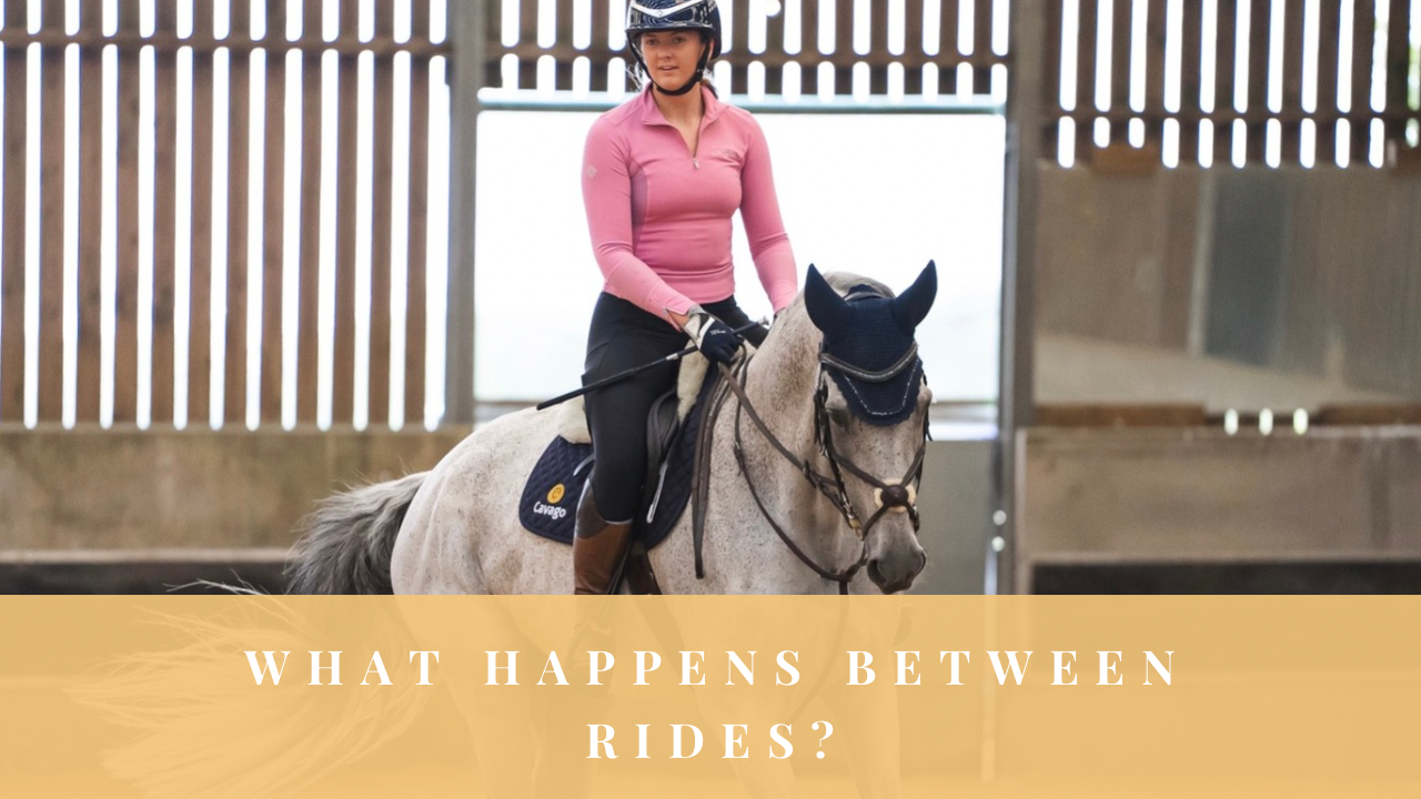 Rider schooling a horse with the question ‘What happens between rides?’