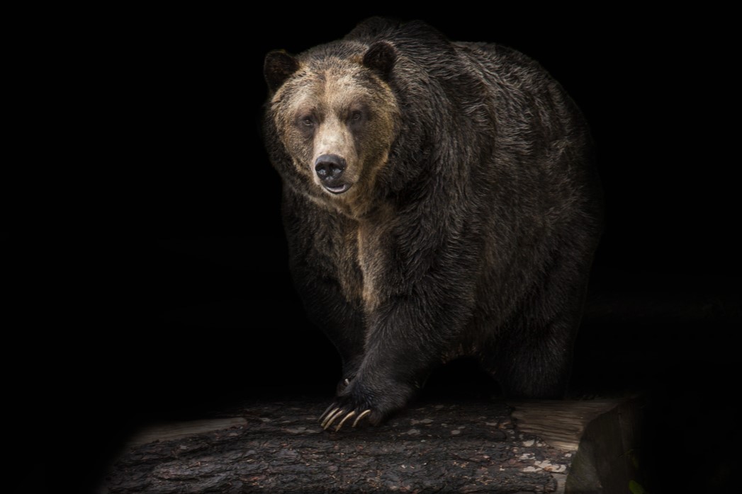 A photograph of a finger bursting a bubble in crisp detail