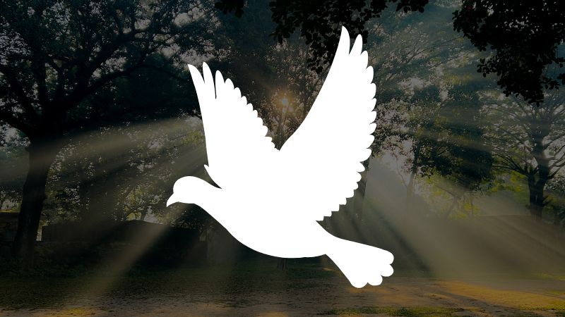 Sacred Honor Seminary Workshop