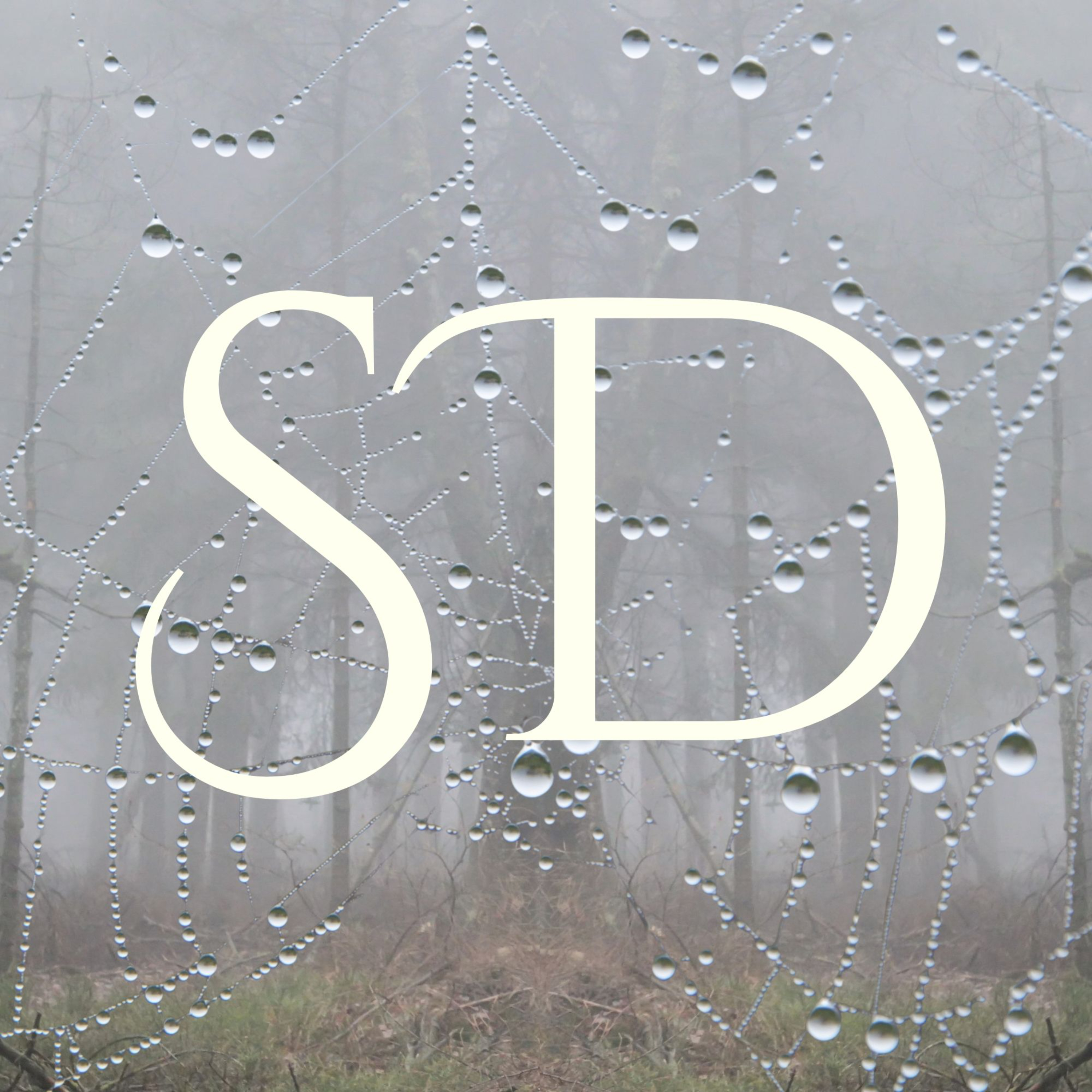 Spindeldis