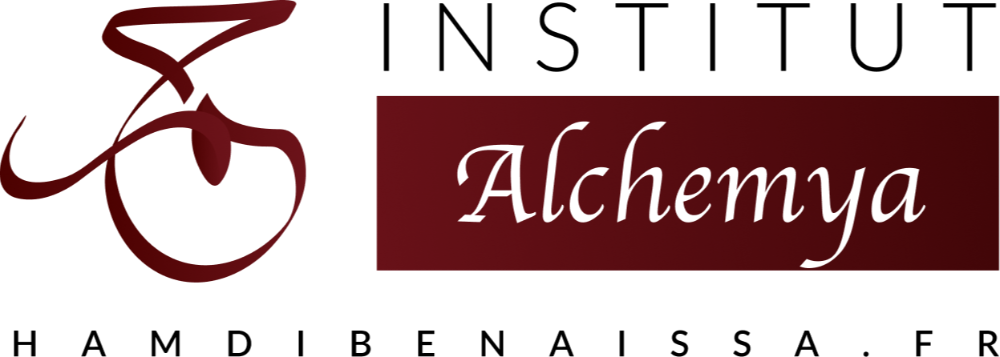 Header Logo