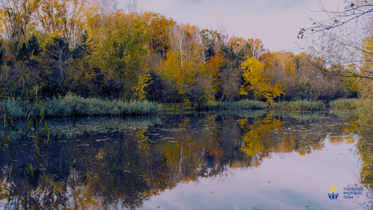 fall colors on a treeline with water reflection