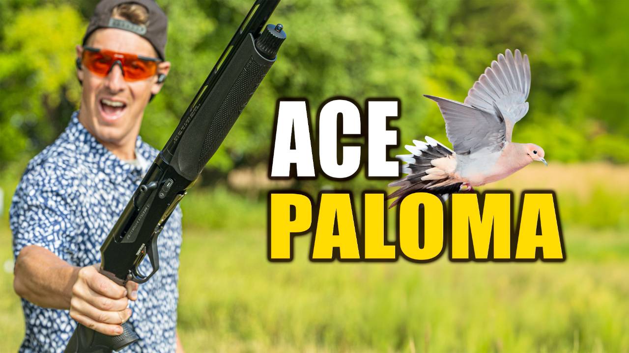Retay ACE Paloma Review