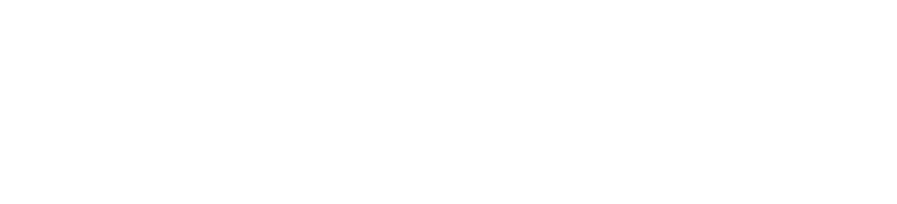 Sidekick