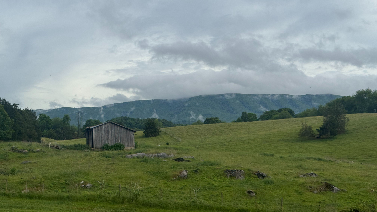 Pasture in SW Virginia