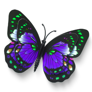 Buch über Bewusstsein und Neubeginn