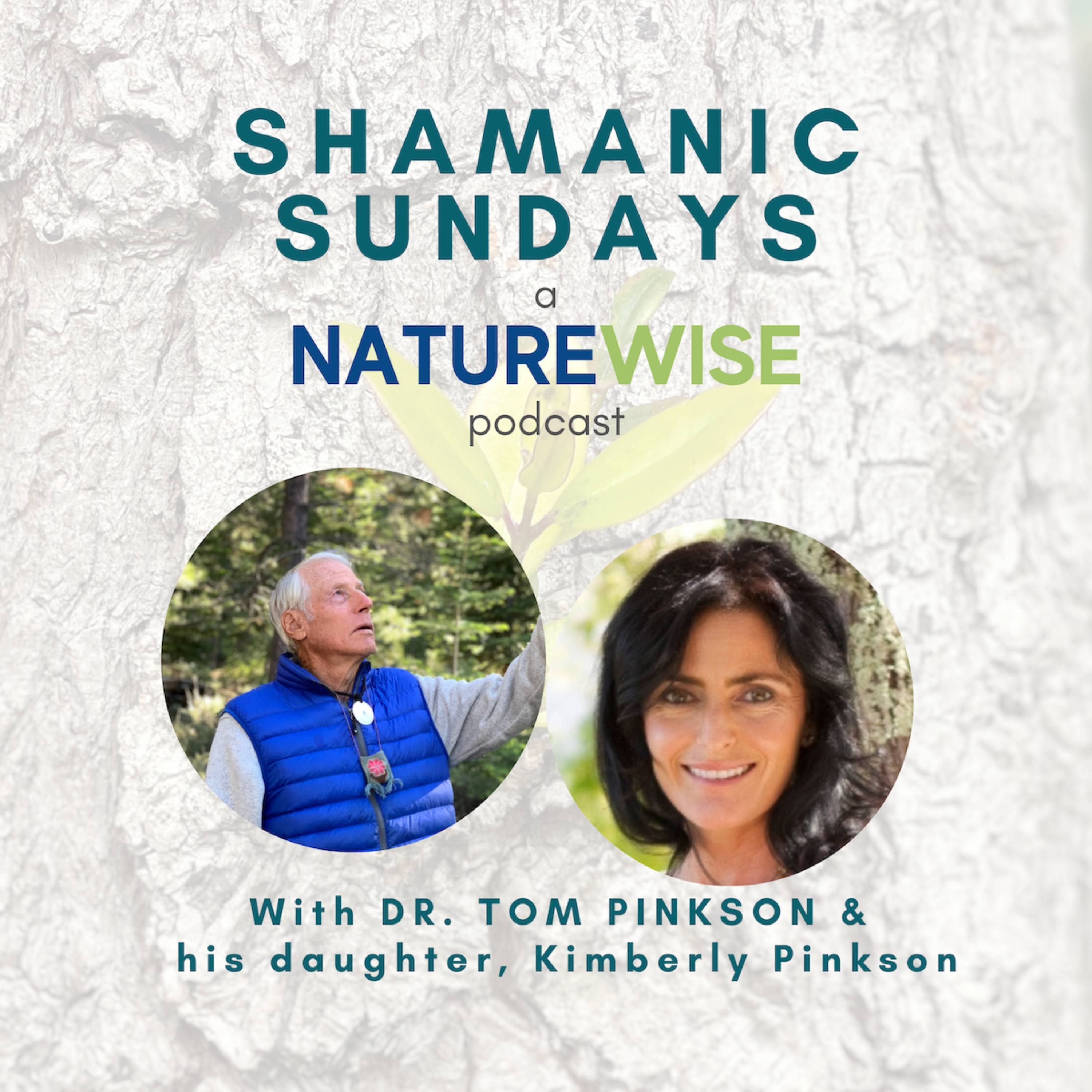 Shamanic Sundays: A Naturewise Co. podcast