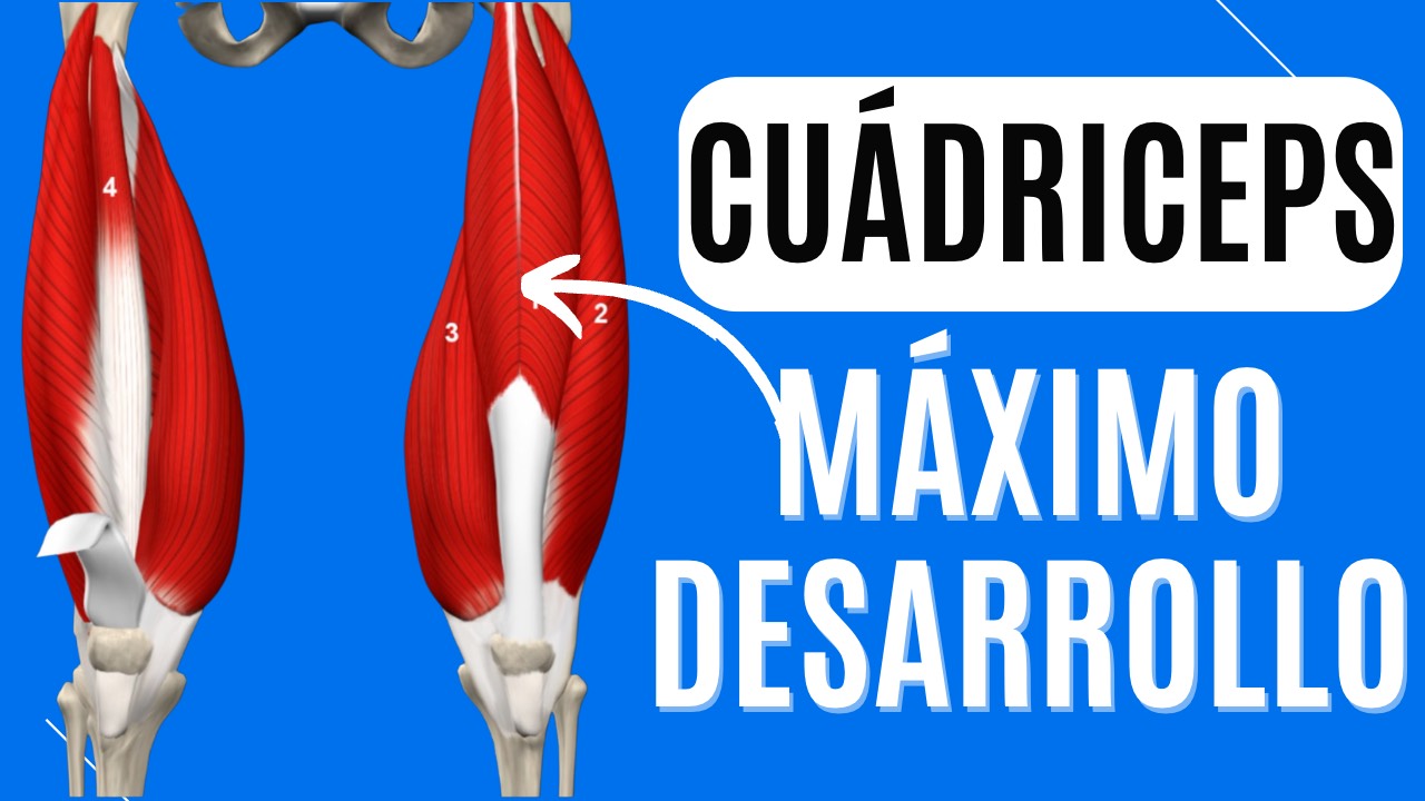 Cómo maximizar el estímulo en las extensiones de rodilla