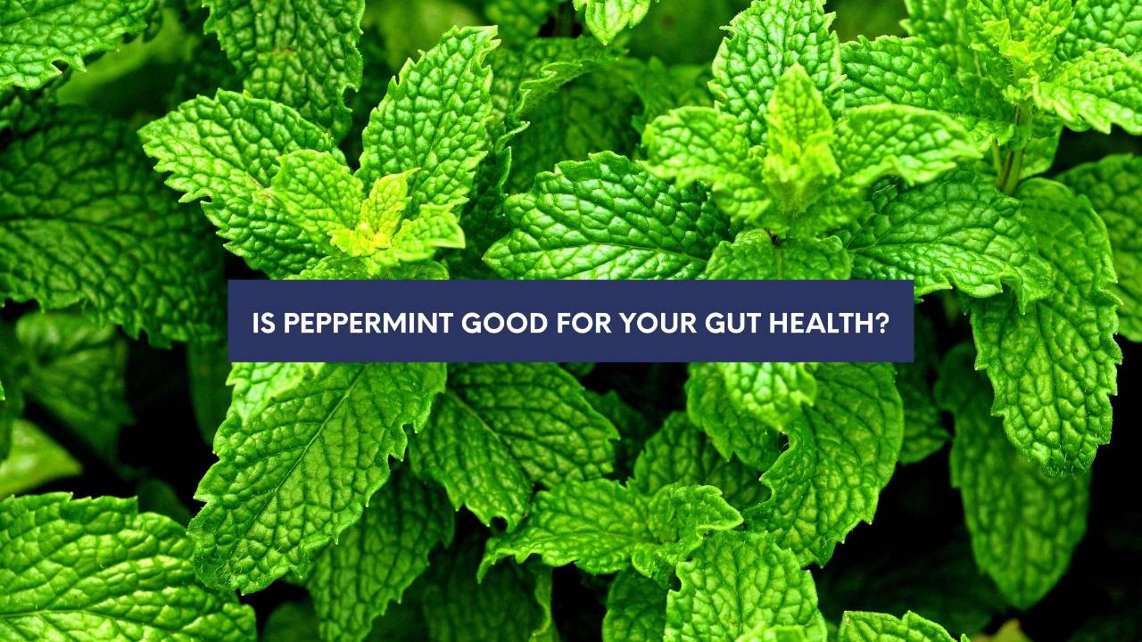 peppermint gut health