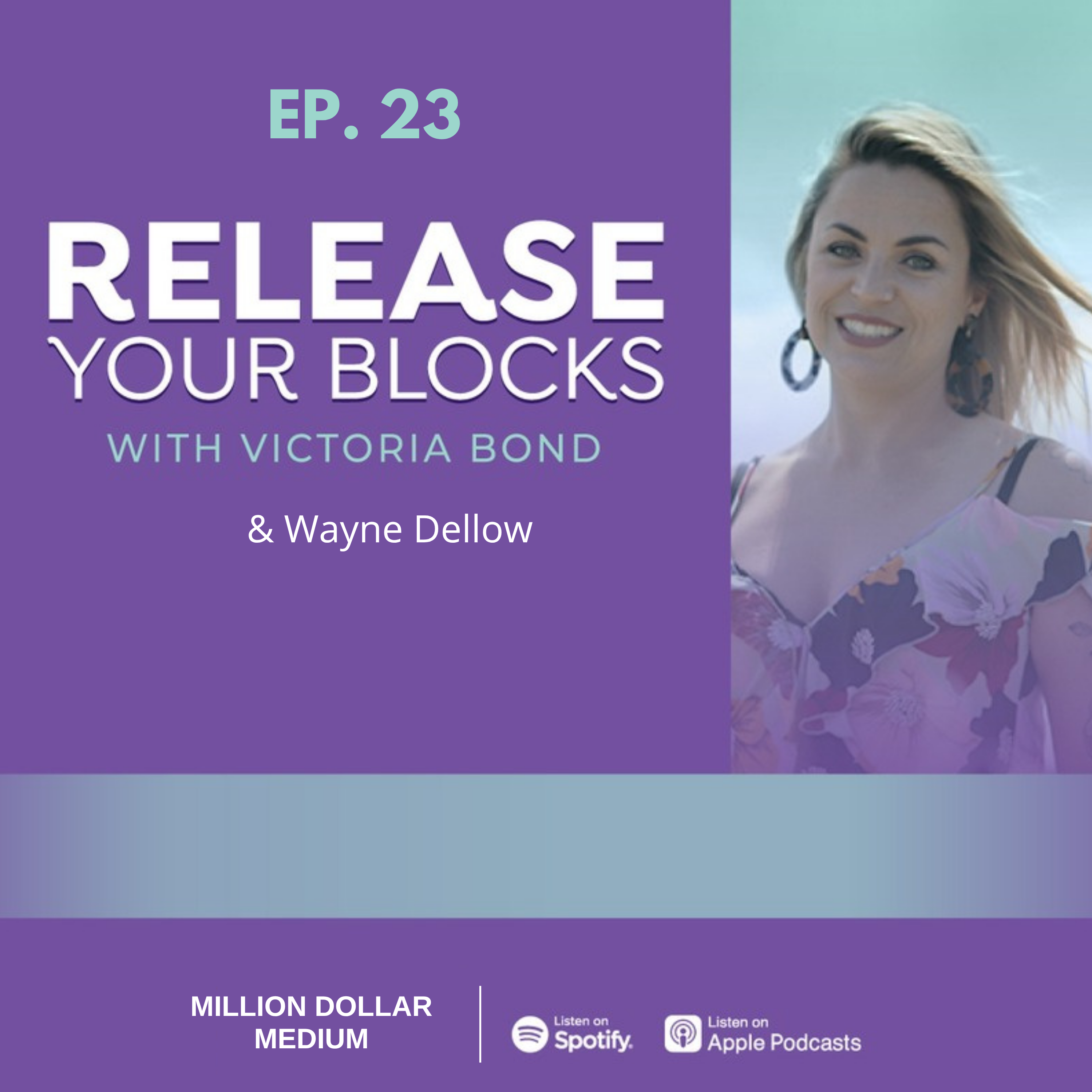 23. Decode Your DISC Profile with Wayne Dellow episode artwork
