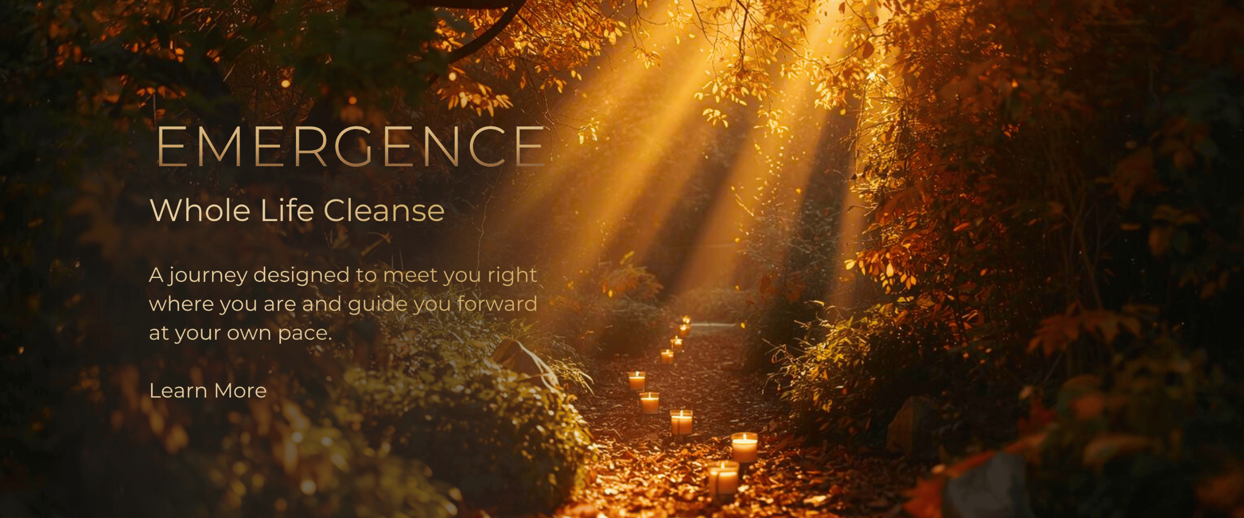 Emergence Whole Life Cleanse