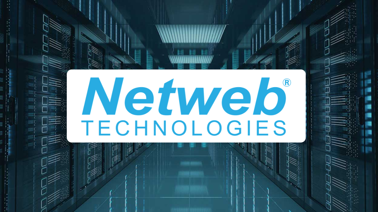 netweb-elliott-wave-analysis