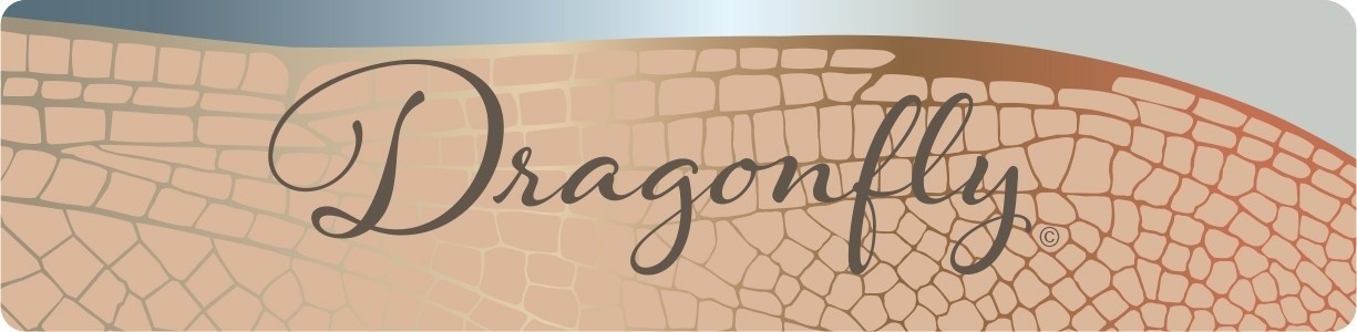 blue and gold artwork of a dragonfly wing with the word "Dragonfly" in cursive text