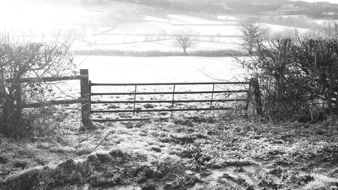 Bagpipe Christmas Music Bagpipe Master