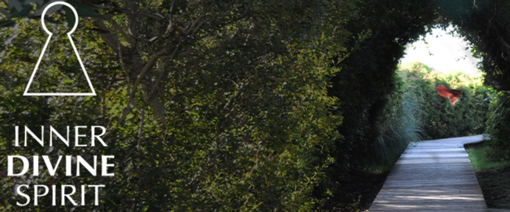 Header Logo