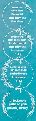Image showing the progression of the Embodiment Circle.