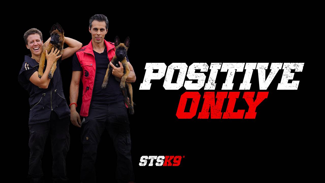 Learn More About STSK9's PositiveOnly Dog Training Program