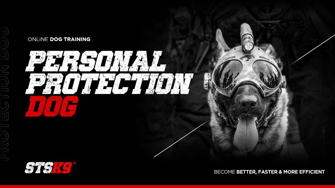 Personal Protection Dog Training Course