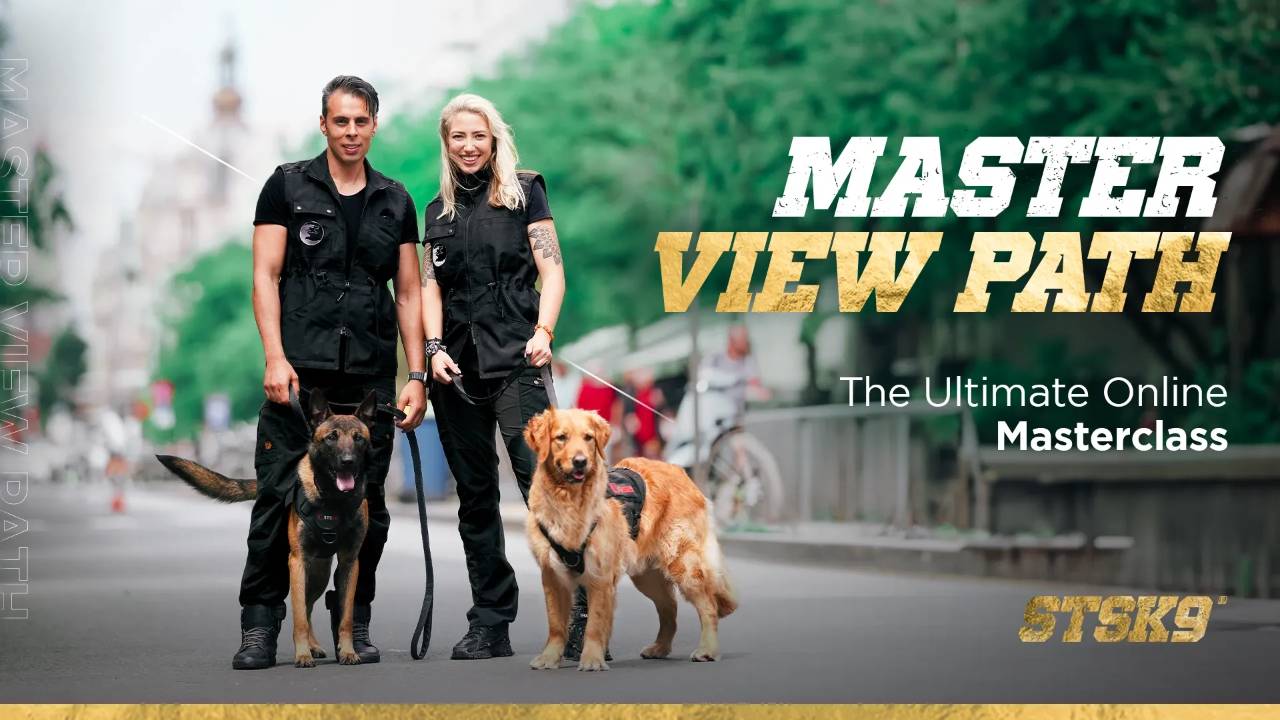 STSK9 Master View Path Dog Training Certification Program