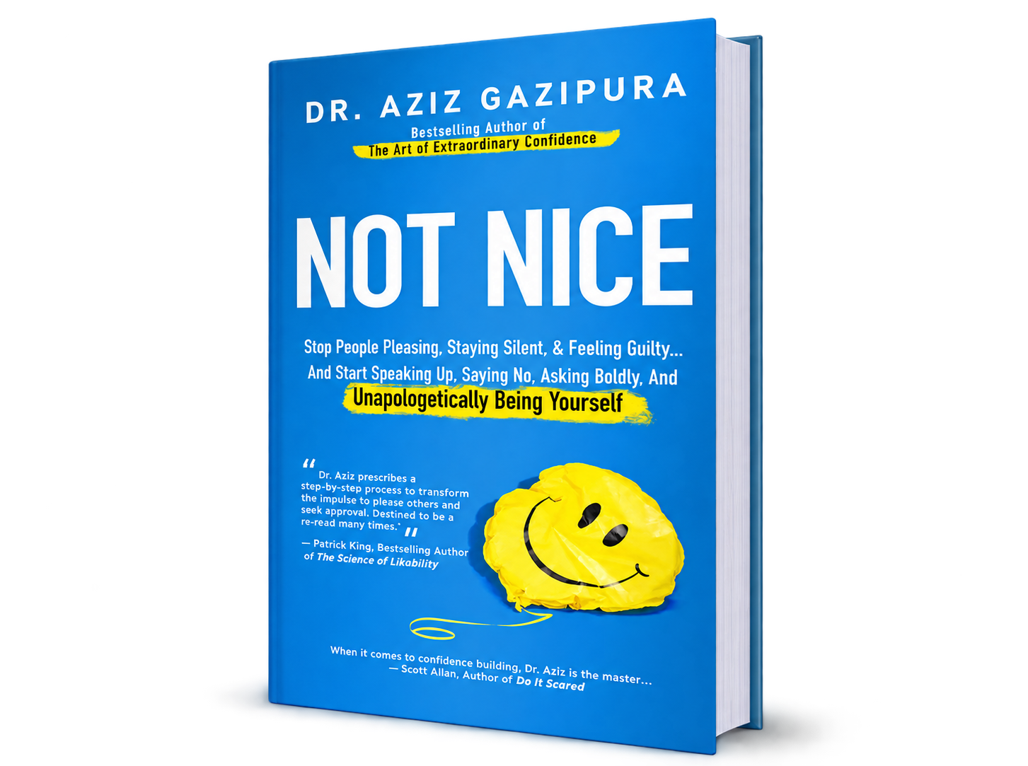 Not Nice book cover