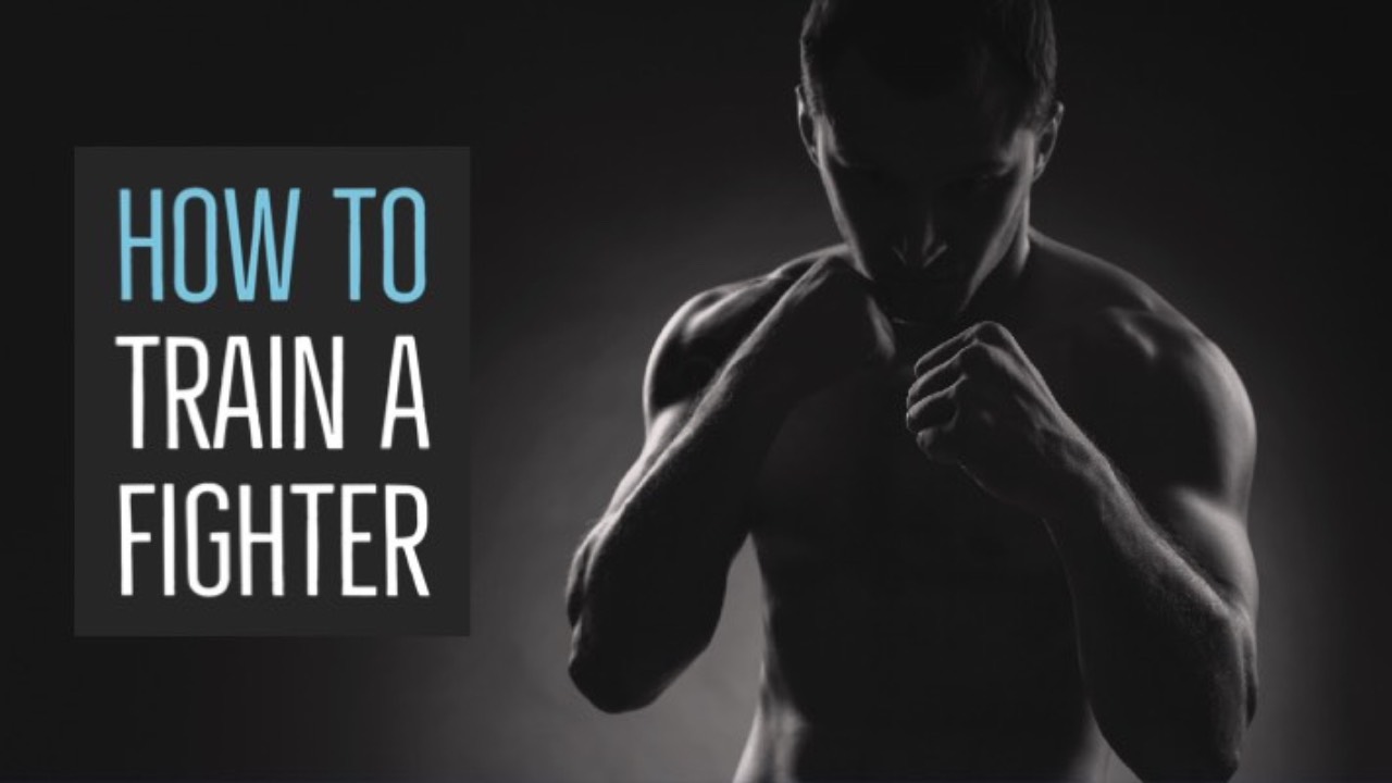 Unleash Your Inner Champion: A Guide to Effective Fighter Training