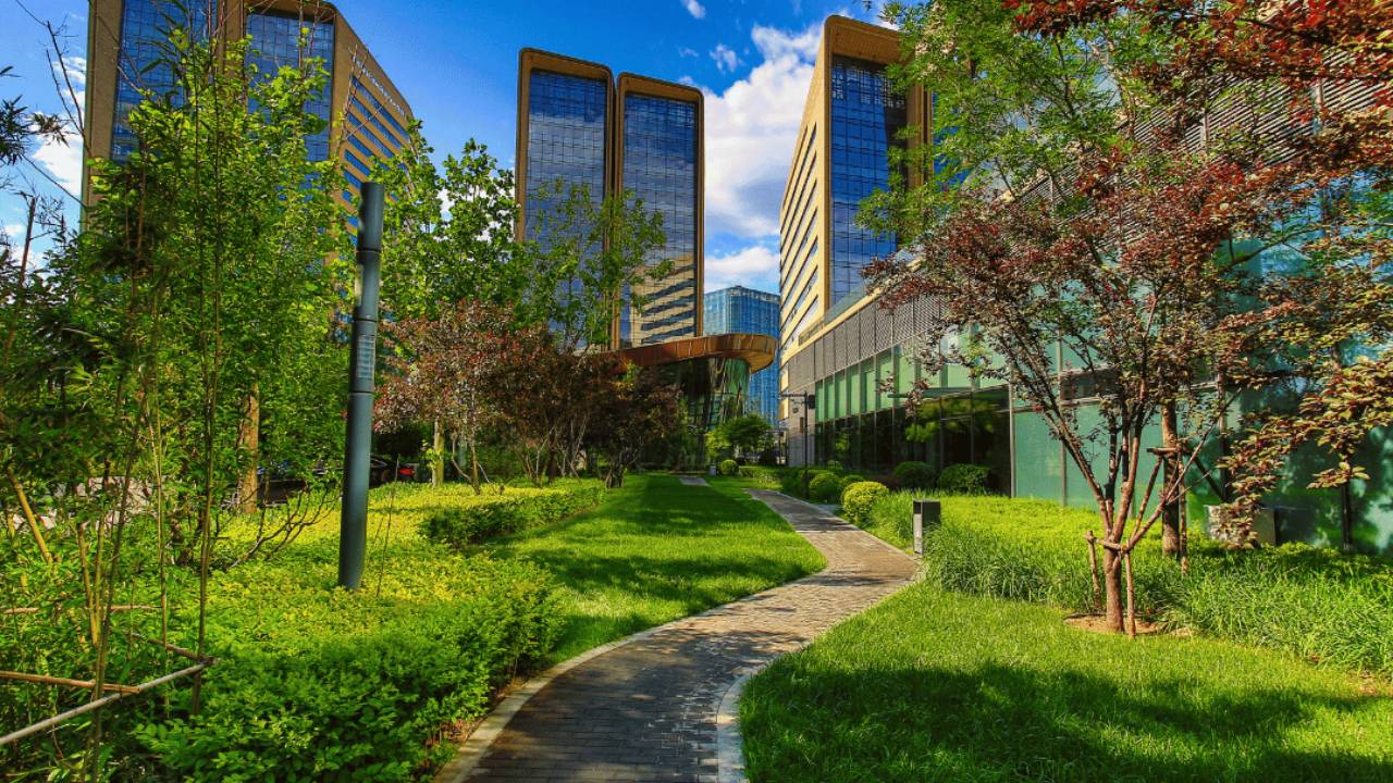 Embracing Nature for Health and Happiness