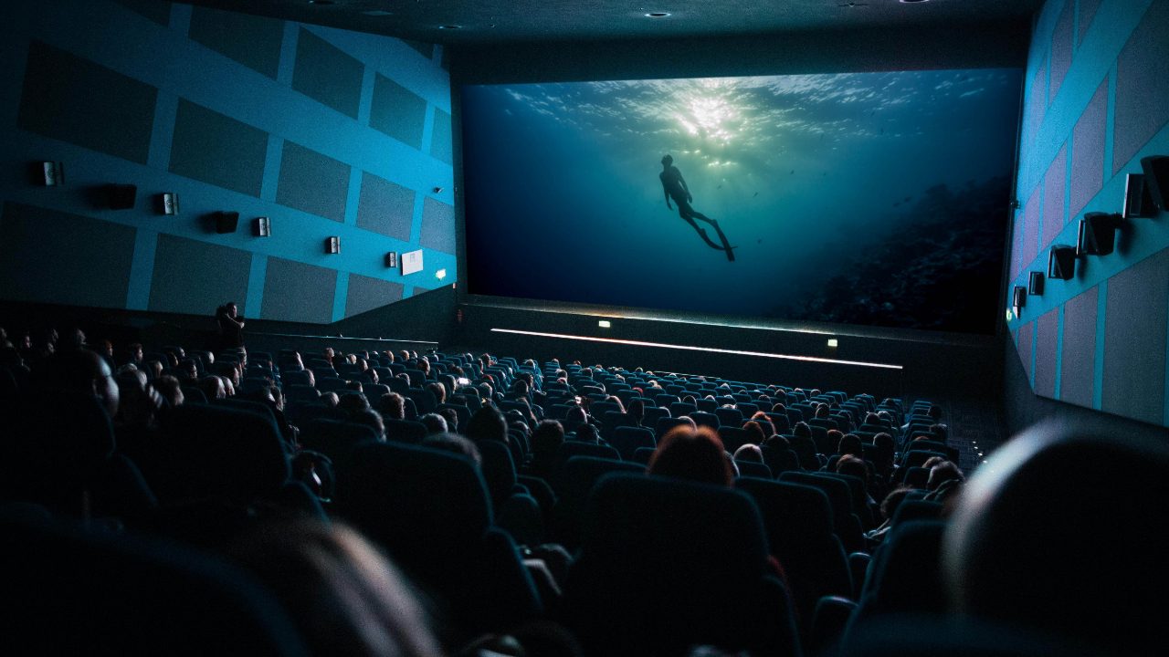 Documentary screening at a film festival