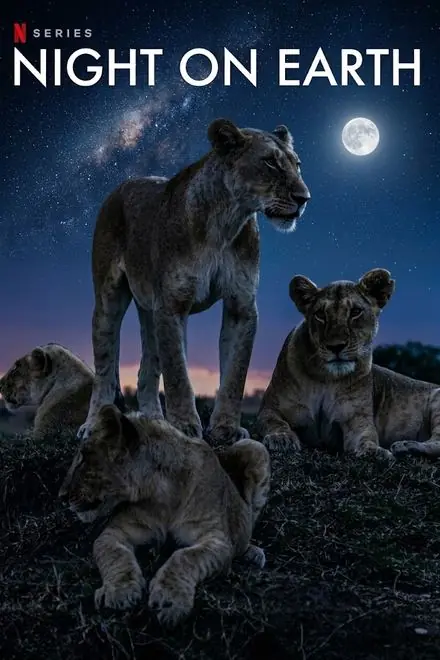 Poster for Night on Earth