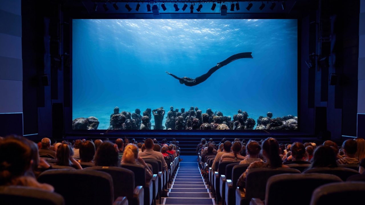 Audience watching a documentary at a cinema screening - how to get your documentary distributed