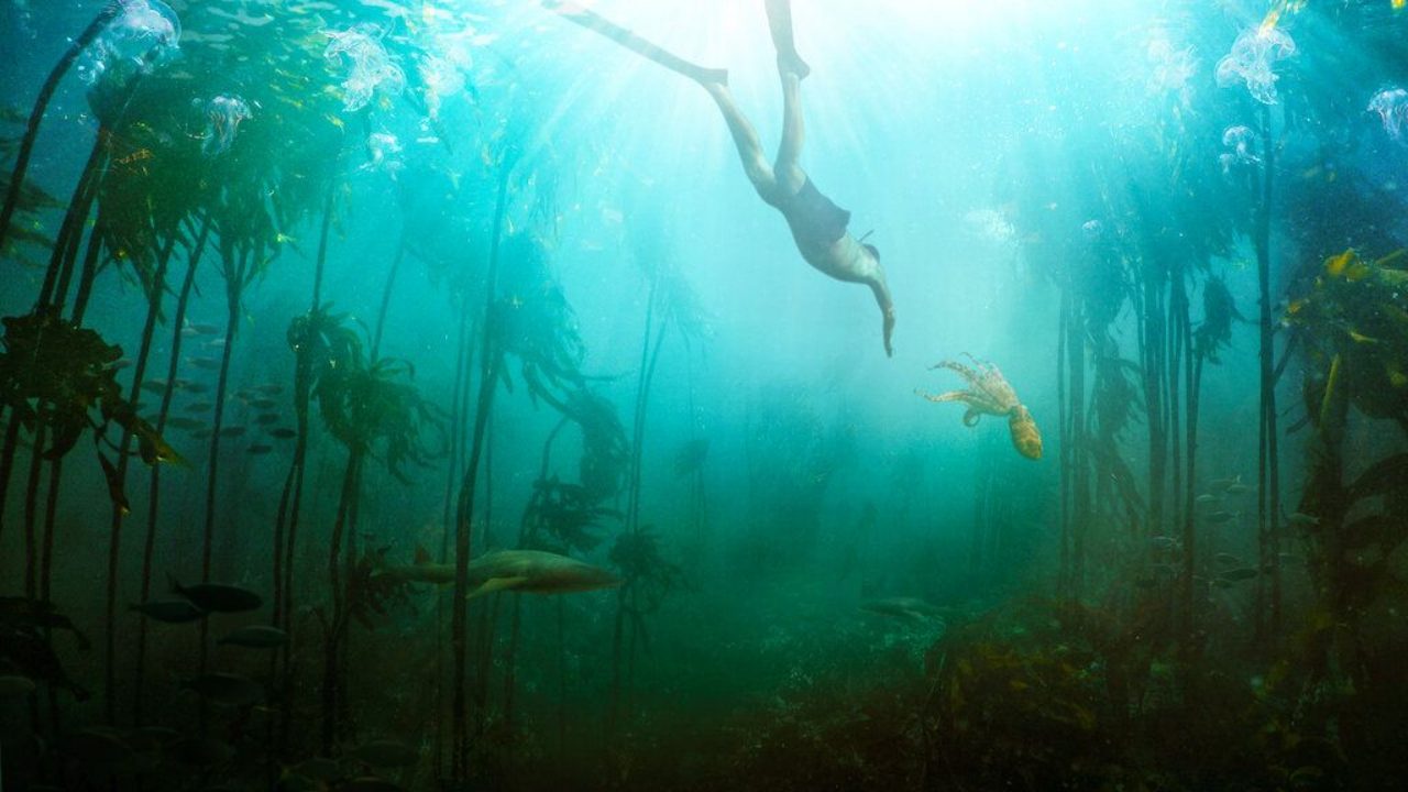 Must-watch documentaries for aspiring filmmakers