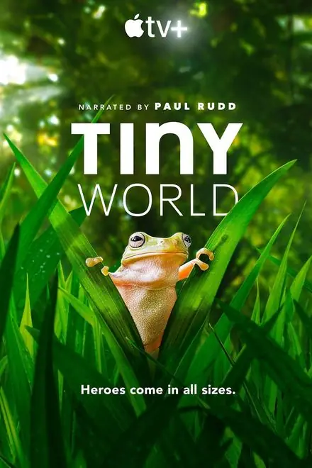 Poster for Tiny World