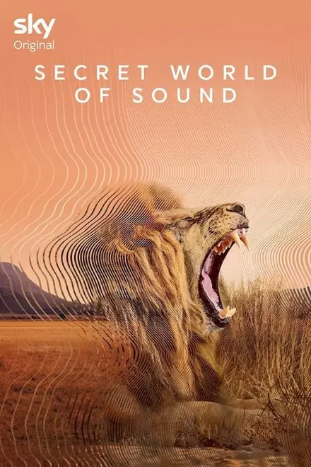 Poster for Secret World of Sound