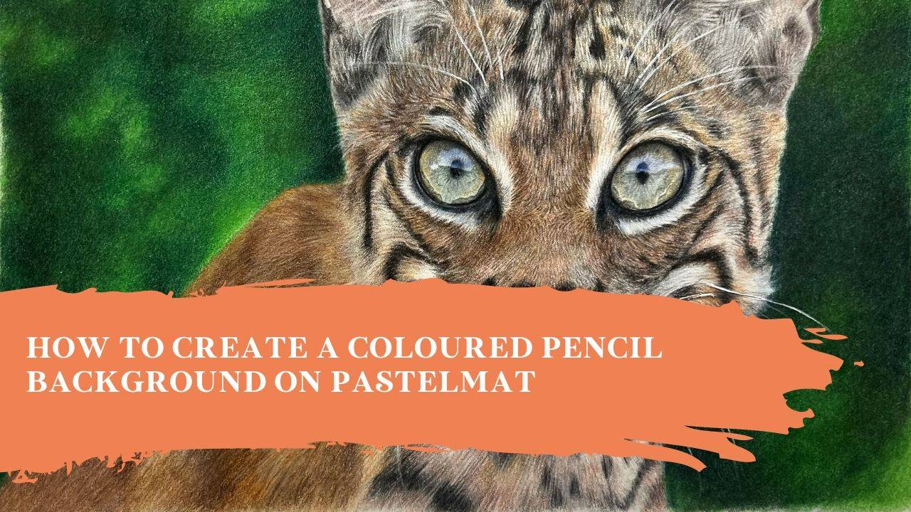 How to Create a Coloured Pencil Background on Pastelmat Top Tips