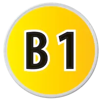 B1 Level German Course Logo