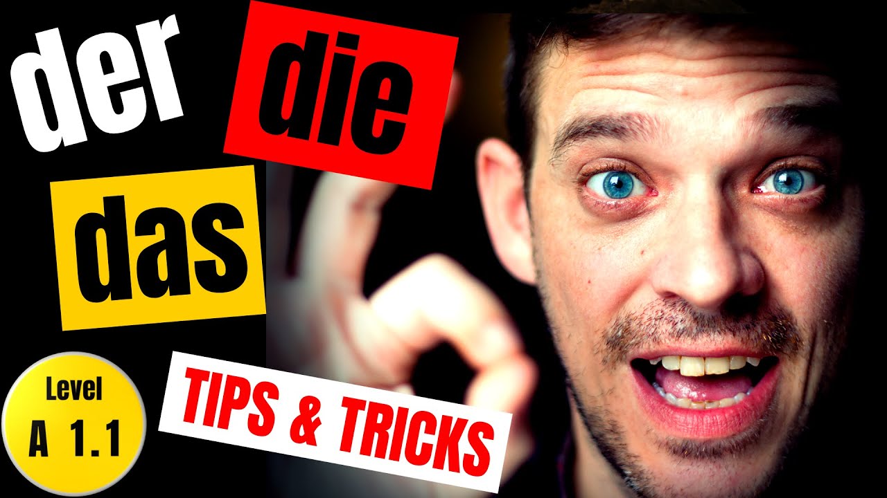der die das. German genders explained