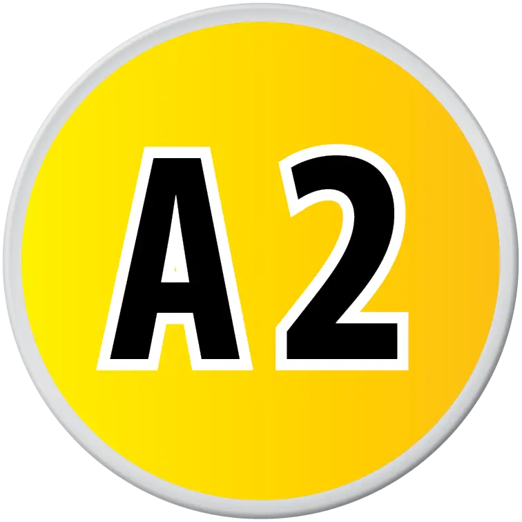 A2 Level German Course Logo