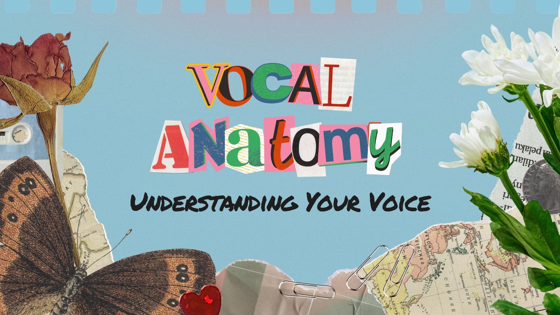 Vocal anatomy guide for transgender voice training &mdash; understanding how the voice works