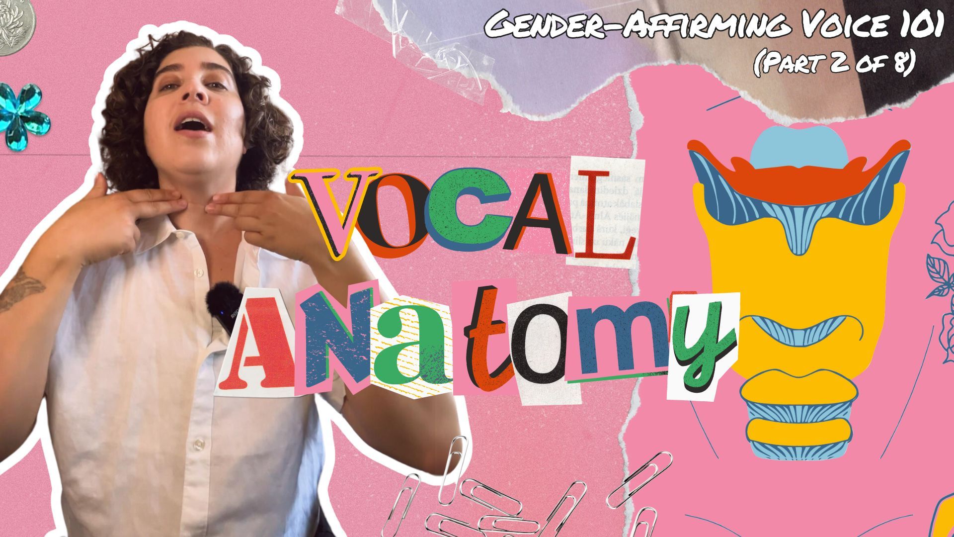 Gender-Affirming Voice 101: an intro to vocal anatomy for trans and nonbinary voice training