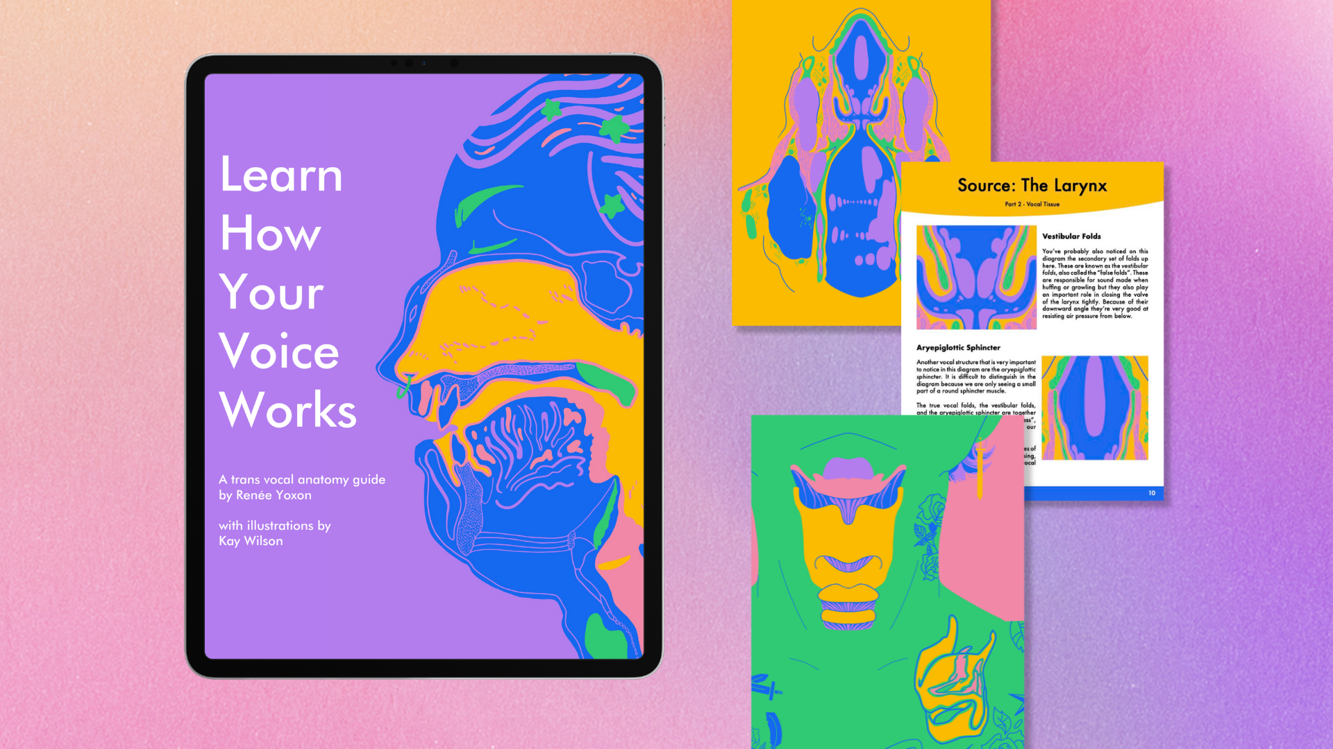 Cover of Learn How Your Voice Works, a free trans vocal anatomy guide