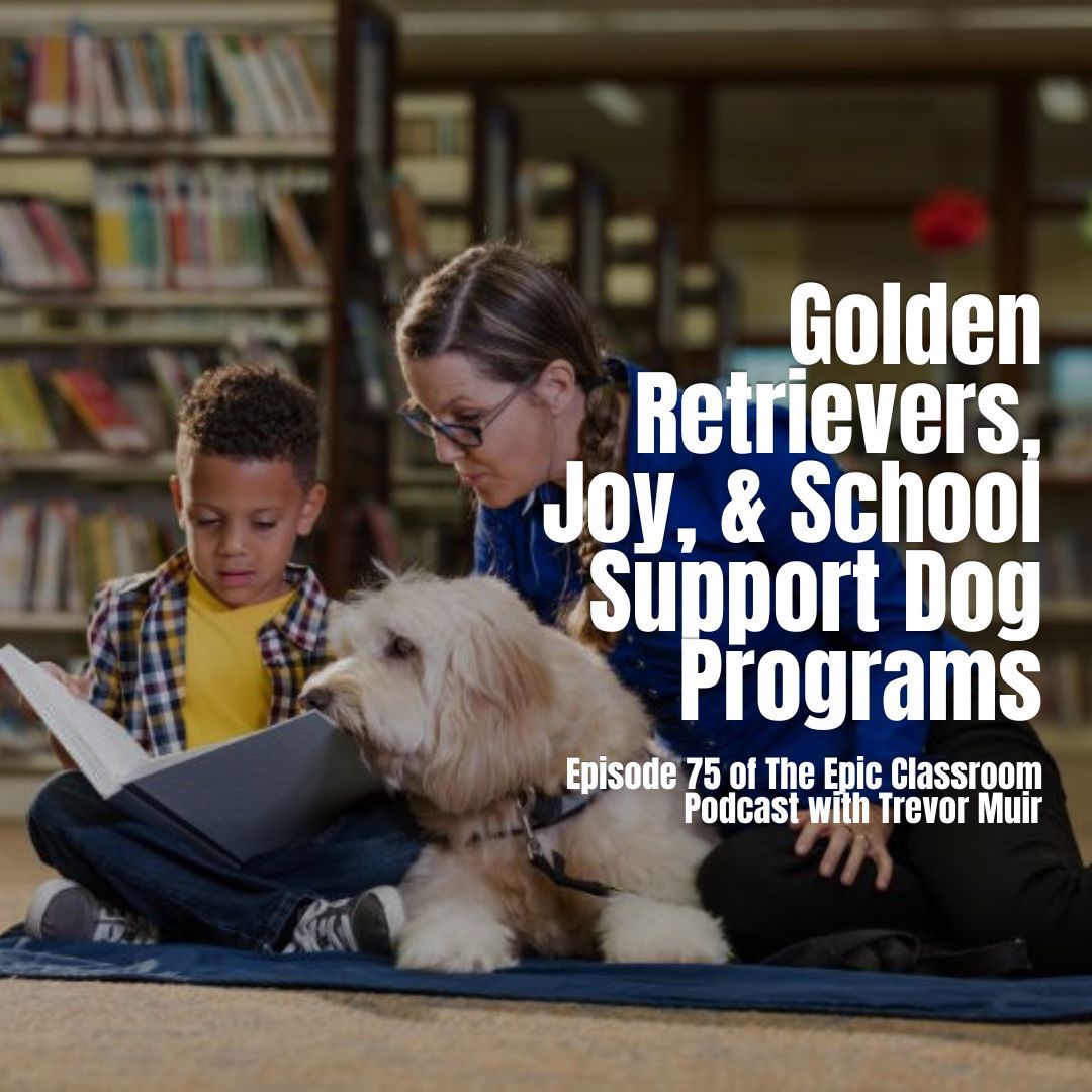 Play Support Dogs and Why Your School Needs One