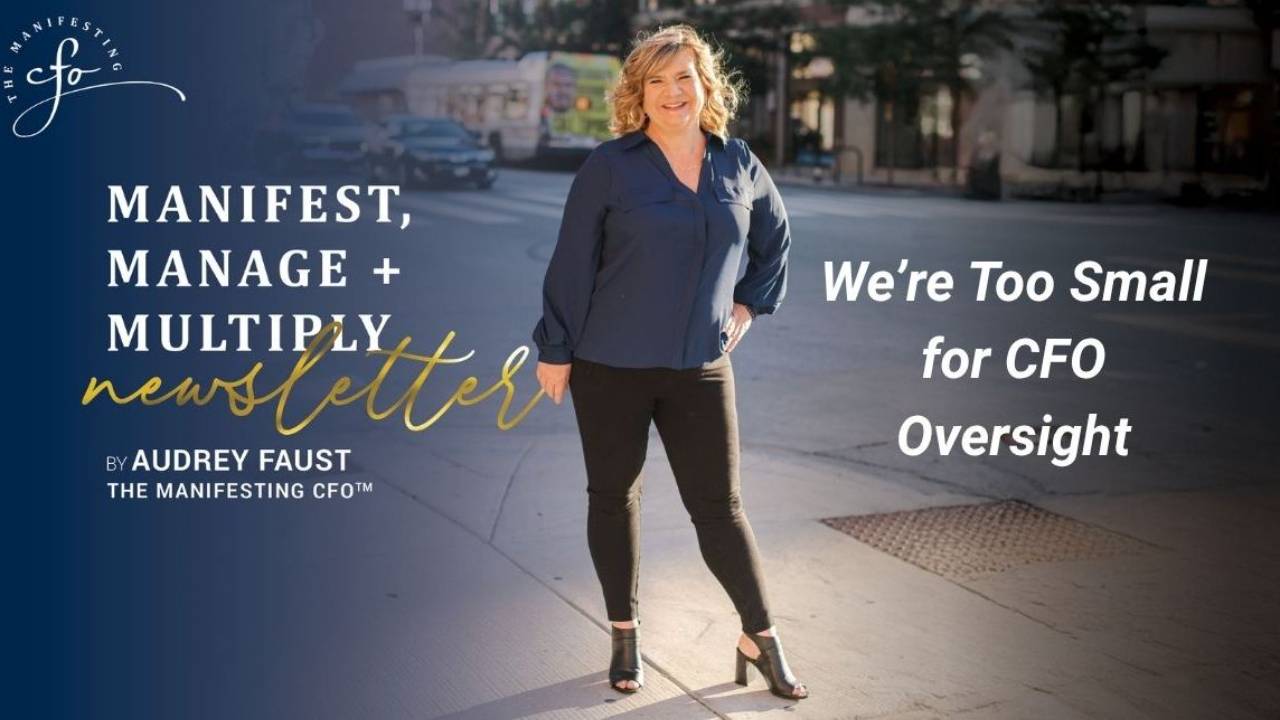 We’re Too Small for CFO Oversight