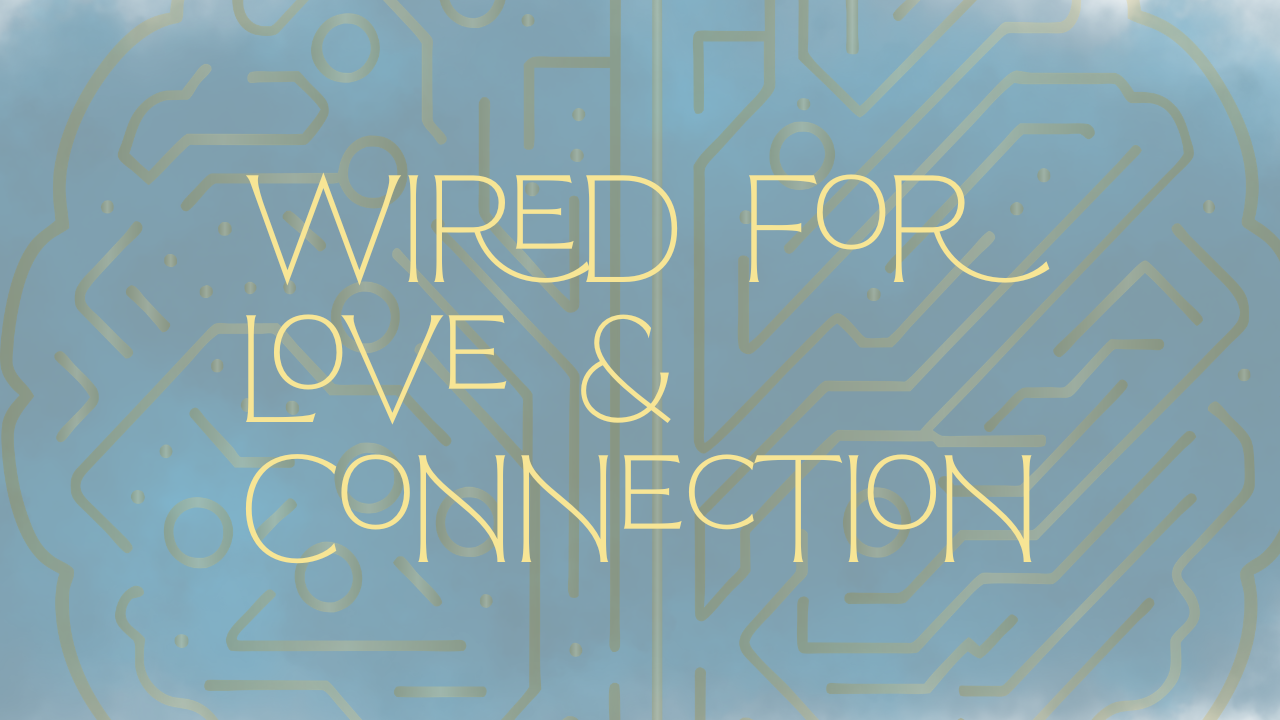 Wired for Love & Connection