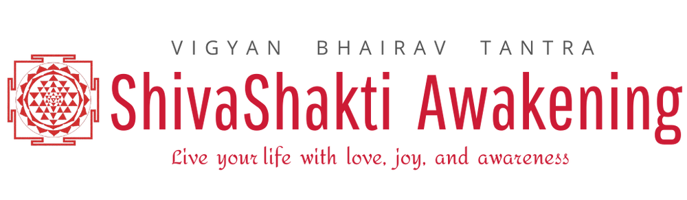 Header Logo