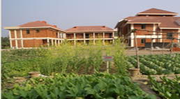 Lumbini dining