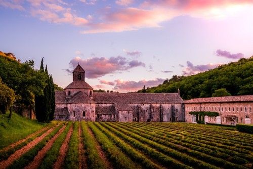 Sénanque Abbey at Sunset: A Stunning Lavender Landscape in Provence